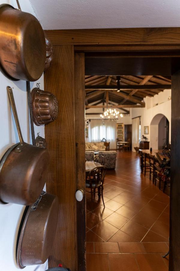 Agriturismo Il Bottaccino Monsummano Terme Экстерьер фото